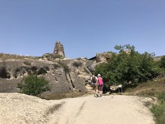 Gori